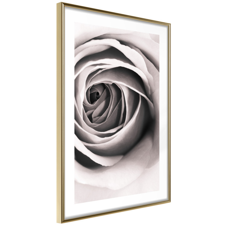 Poster Rose Whirl - pattern imitating the appearance of a rose in an infinite swirl 122282 additionalImage 6