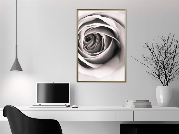 Poster Rose Whirl - pattern imitating the appearance of a rose in an infinite swirl 122282 additionalImage 7