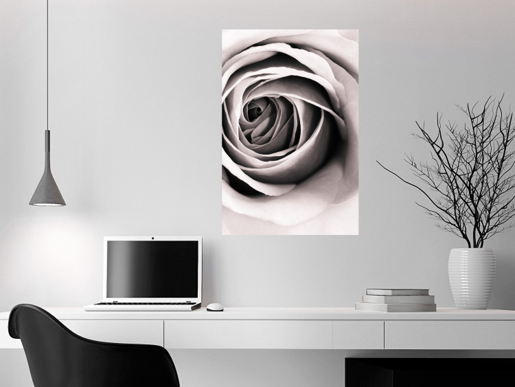 Poster Rose Whirl - pattern imitating the appearance of a rose in an infinite swirl 122282 additionalImage 23