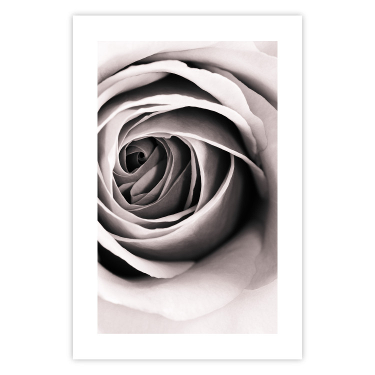 Poster Rose Whirl - pattern imitating the appearance of a rose in an infinite swirl 122282 additionalImage 25