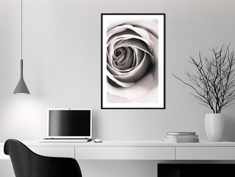 Poster Rose Whirl - pattern imitating the appearance of a rose in an infinite swirl 122282 additionalImage 6