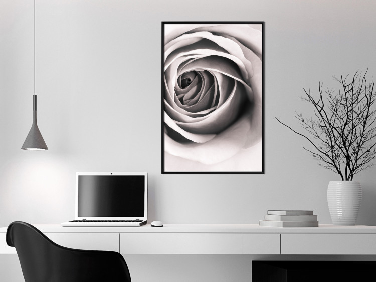 Poster Rose Whirl - pattern imitating the appearance of a rose in an infinite swirl 122282 additionalImage 5