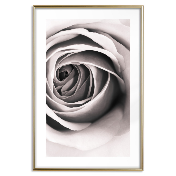 Poster Rose Whirl - pattern imitating the appearance of a rose in an infinite swirl 122282 additionalImage 14