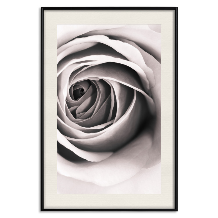 Poster Rose Whirl - pattern imitating the appearance of a rose in an infinite swirl 122282 additionalImage 18