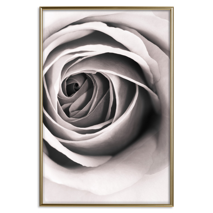 Poster Rose Whirl - pattern imitating the appearance of a rose in an infinite swirl 122282 additionalImage 16