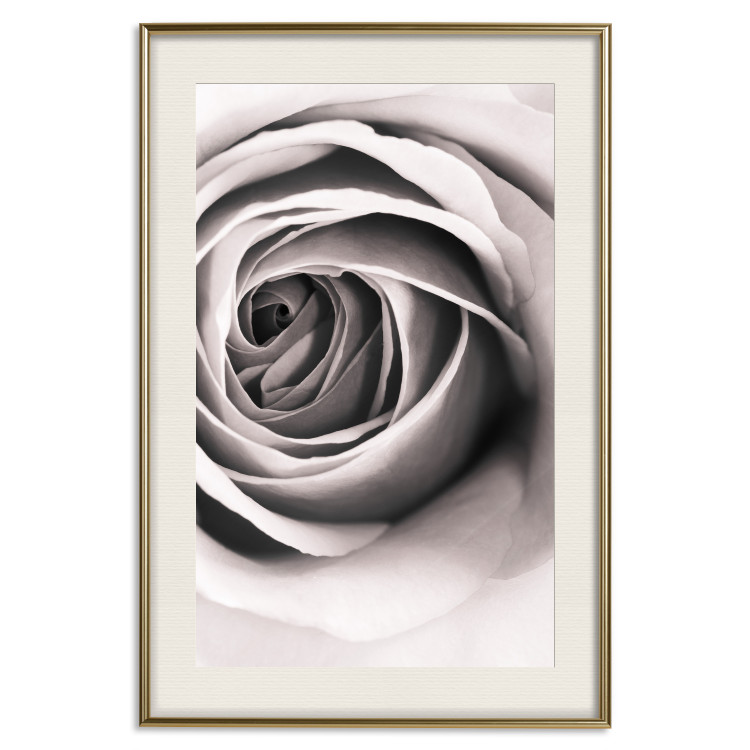 Poster Rose Whirl - pattern imitating the appearance of a rose in an infinite swirl 122282 additionalImage 19