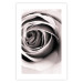 Poster Rose Whirl - pattern imitating the appearance of a rose in an infinite swirl 122282 additionalThumb 19