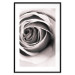 Poster Rose Whirl - pattern imitating the appearance of a rose in an infinite swirl 122282 additionalThumb 15