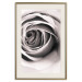 Poster Rose Whirl - pattern imitating the appearance of a rose in an infinite swirl 122282 additionalThumb 19
