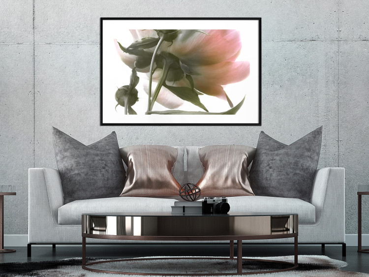 Wall Poster Her Majesty - pink peony petals with a green branch on a white background 122682 additionalImage 8
