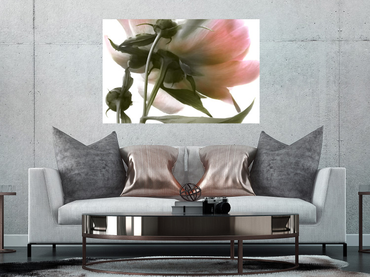 Wall Poster Her Majesty - pink peony petals with a green branch on a white background 122682 additionalImage 17