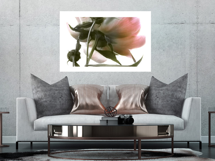 Wall Poster Her Majesty - pink peony petals with a green branch on a white background 122682 additionalImage 5