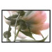 Wall Poster Her Majesty - pink peony petals with a green branch on a white background 122682 additionalThumb 24