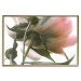 Wall Poster Her Majesty - pink peony petals with a green branch on a white background 122682 additionalThumb 16