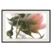Wall Poster Her Majesty - pink peony petals with a green branch on a white background 122682 additionalThumb 18