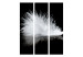 Room Separator Fleeting Moment (3-piece) - delicate white feather amidst blackness 124182 additionalThumb 3