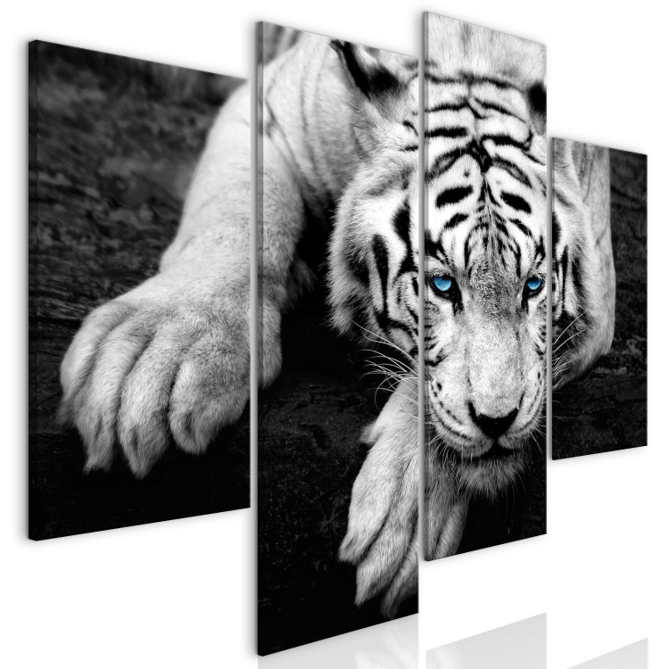 Canvas Art Print Menacing Look (4-part) - second variant - white cat in nature 128782 additionalImage 2