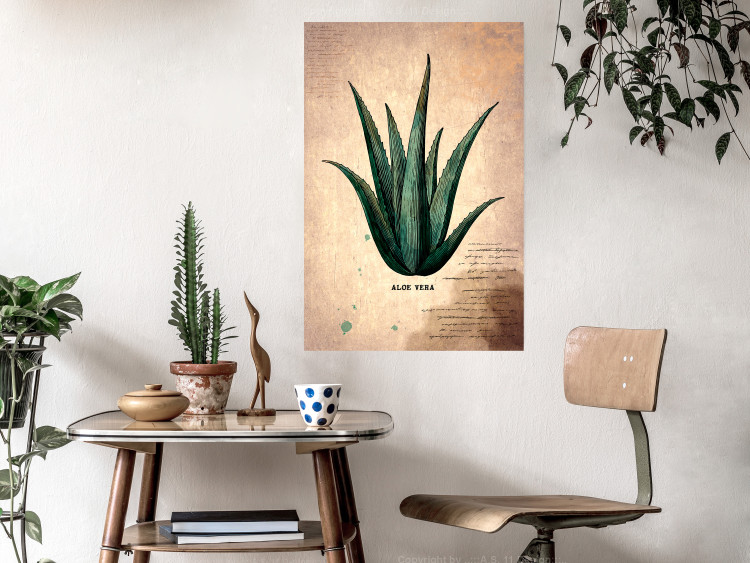 Wall Poster Herbarium Page - vintage composition with green plant on brown background 129382 additionalImage 4