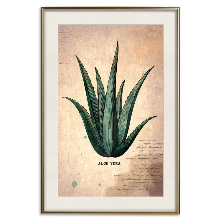 Wall Poster Herbarium Page - vintage composition with green plant on brown background 129382 additionalImage 20