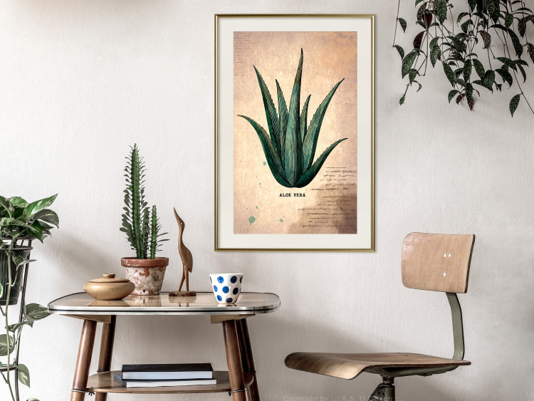 Wall Poster Herbarium Page - vintage composition with green plant on brown background 129382 additionalImage 17