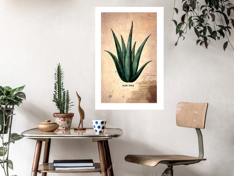 Wall Poster Herbarium Page - vintage composition with green plant on brown background 129382 additionalImage 5