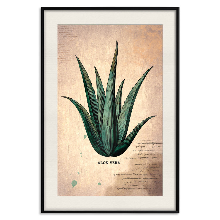 Wall Poster Herbarium Page - vintage composition with green plant on brown background 129382 additionalImage 22