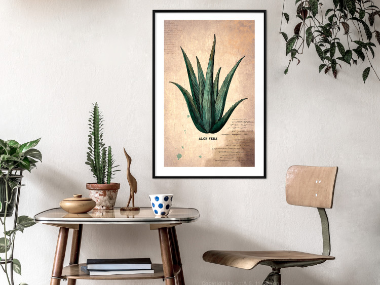 Wall Poster Herbarium Page - vintage composition with green plant on brown background 129382 additionalImage 18