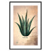 Wall Poster Herbarium Page - vintage composition with green plant on brown background 129382 additionalThumb 15