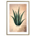 Wall Poster Herbarium Page - vintage composition with green plant on brown background 129382 additionalThumb 21