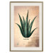 Wall Poster Herbarium Page - vintage composition with green plant on brown background 129382 additionalThumb 20