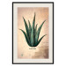 Wall Poster Herbarium Page - vintage composition with green plant on brown background 129382 additionalThumb 22