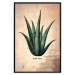 Wall Poster Herbarium Page - vintage composition with green plant on brown background 129382 additionalThumb 27