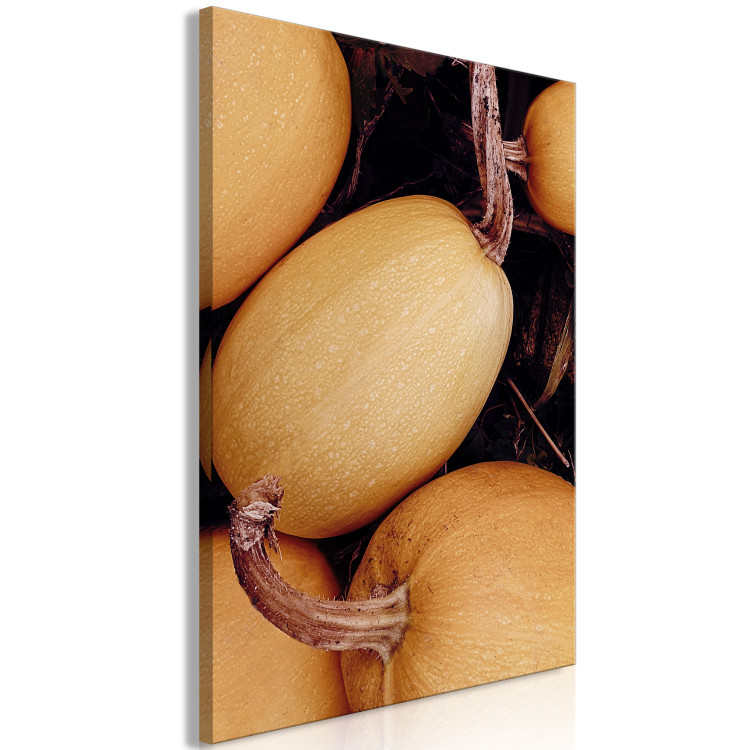 Canvas Print Autumn Time (1-piece) Vertical - still life of vegetables in the field 130782 additionalImage 2