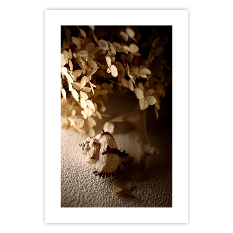 Poster Rustling Shell - flowers and seashell on the beach in brown colors 131782 additionalImage 25