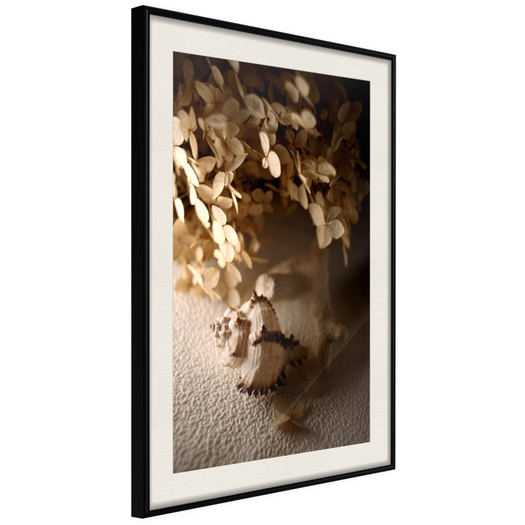 Poster Rustling Shell - flowers and seashell on the beach in brown colors 131782 additionalImage 2