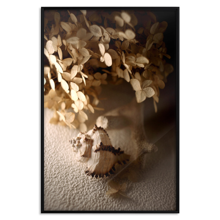 Poster Rustling Shell - flowers and seashell on the beach in brown colors 131782 additionalImage 18