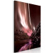 Canvas Dreamy Land (1-piece) Vertical - landscape scenery of polar lights 132082 additionalThumb 2