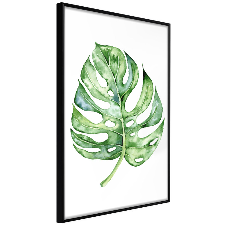 Wall Poster Watercolor Monstera - a simple composition with a green plant leaf 136382 additionalImage 24