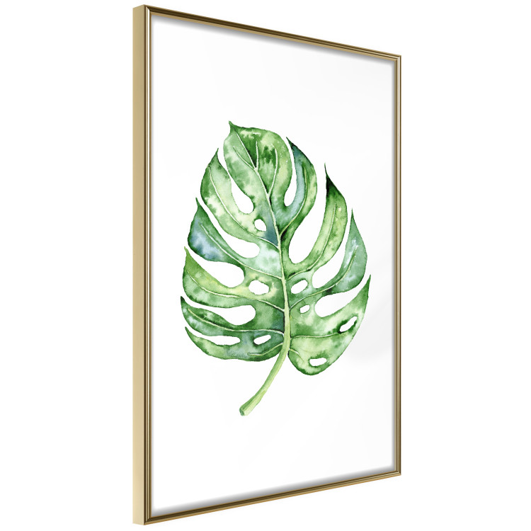 Wall Poster Watercolor Monstera - a simple composition with a green plant leaf 136382 additionalImage 22