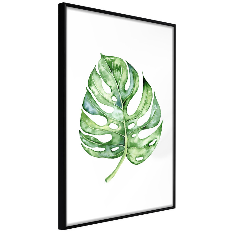 Wall Poster Watercolor Monstera - a simple composition with a green plant leaf 136382 additionalImage 2