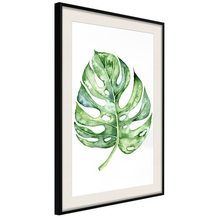 Wall Poster Watercolor Monstera - a simple composition with a green plant leaf 136382 additionalImage 23