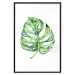 Wall Poster Watercolor Monstera - a simple composition with a green plant leaf 136382 additionalThumb 7