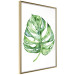 Wall Poster Watercolor Monstera - a simple composition with a green plant leaf 136382 additionalThumb 3