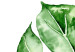 Wall Poster Watercolor Monstera - a simple composition with a green plant leaf 136382 additionalThumb 18