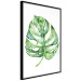 Wall Poster Watercolor Monstera - a simple composition with a green plant leaf 136382 additionalThumb 24
