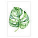 Wall Poster Watercolor Monstera - a simple composition with a green plant leaf 136382