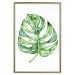 Wall Poster Watercolor Monstera - a simple composition with a green plant leaf 136382 additionalThumb 6
