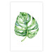 Wall Poster Watercolor Monstera - a simple composition with a green plant leaf 136382 additionalThumb 9
