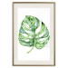 Wall Poster Watercolor Monstera - a simple composition with a green plant leaf 136382 additionalThumb 6