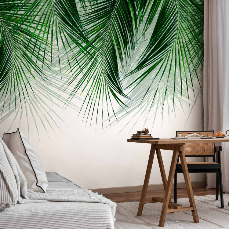 Photo Wallpaper Under a Tropical Plant - Branchy Palm Twigs With Green Leaves 145182 additionalImage 4